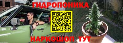 гидра Мариинск